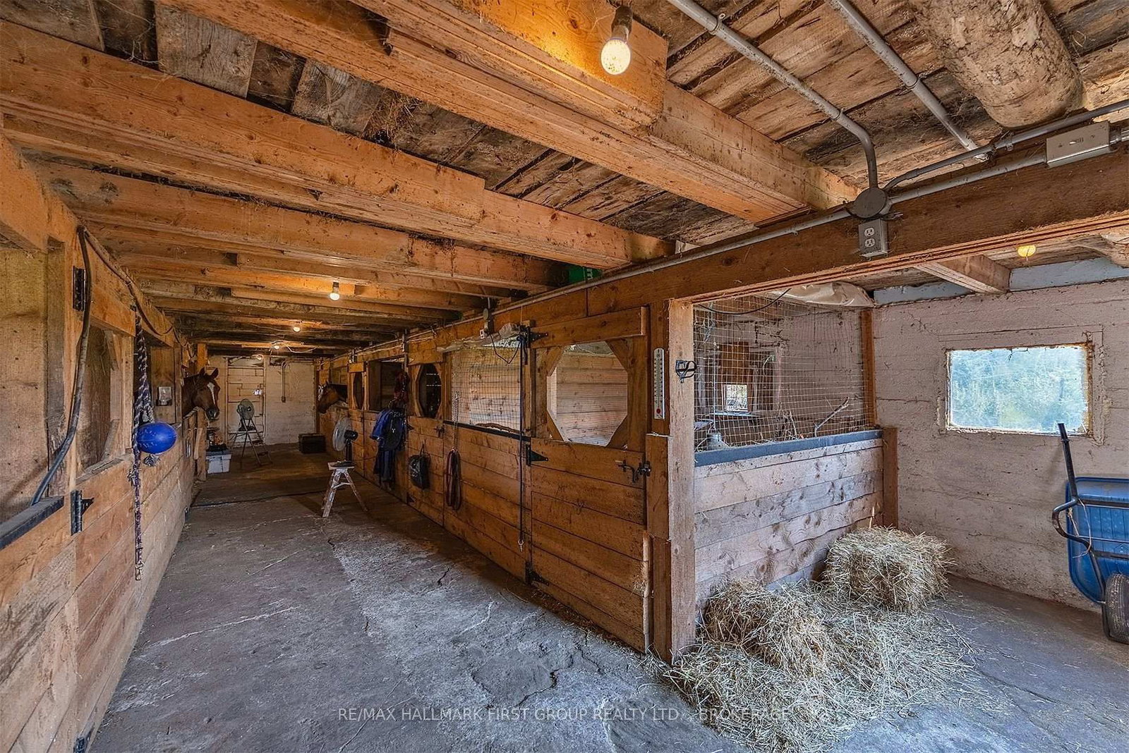 3656 County Rd 14 • Kaladar, ON photo 36