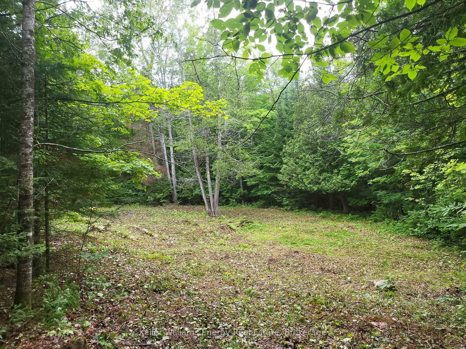 N/A Cross Country Road • Bancroft, ON photo 9