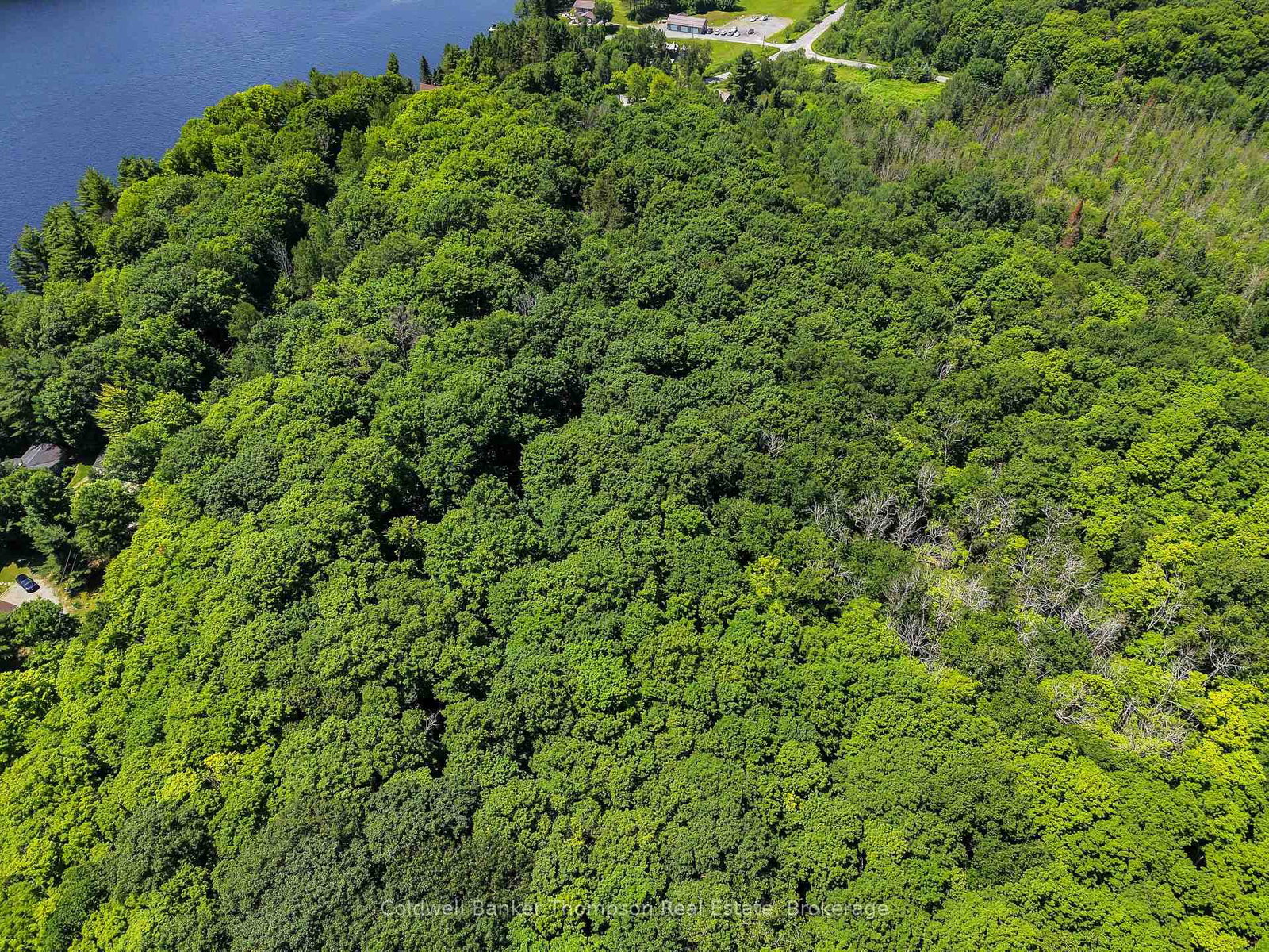 0 South Drive and Vernon Shores Boulevard • Huntsville, ON photo 13