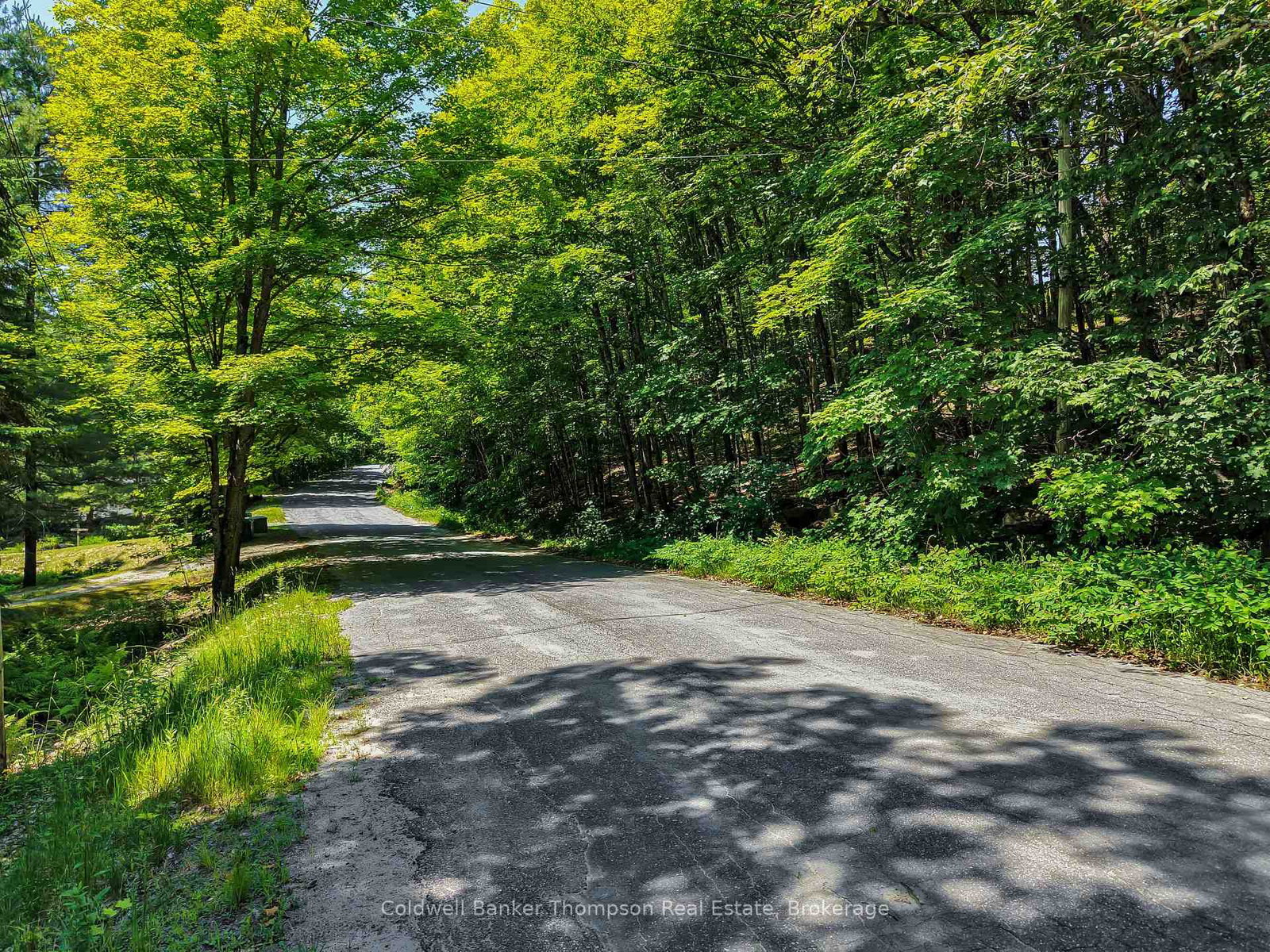 0 South Drive and Vernon Shores Boulevard • Huntsville, ON photo 14