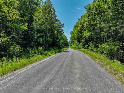0 South Drive and Vernon Shores Boulevard • Huntsville, ON photo 4