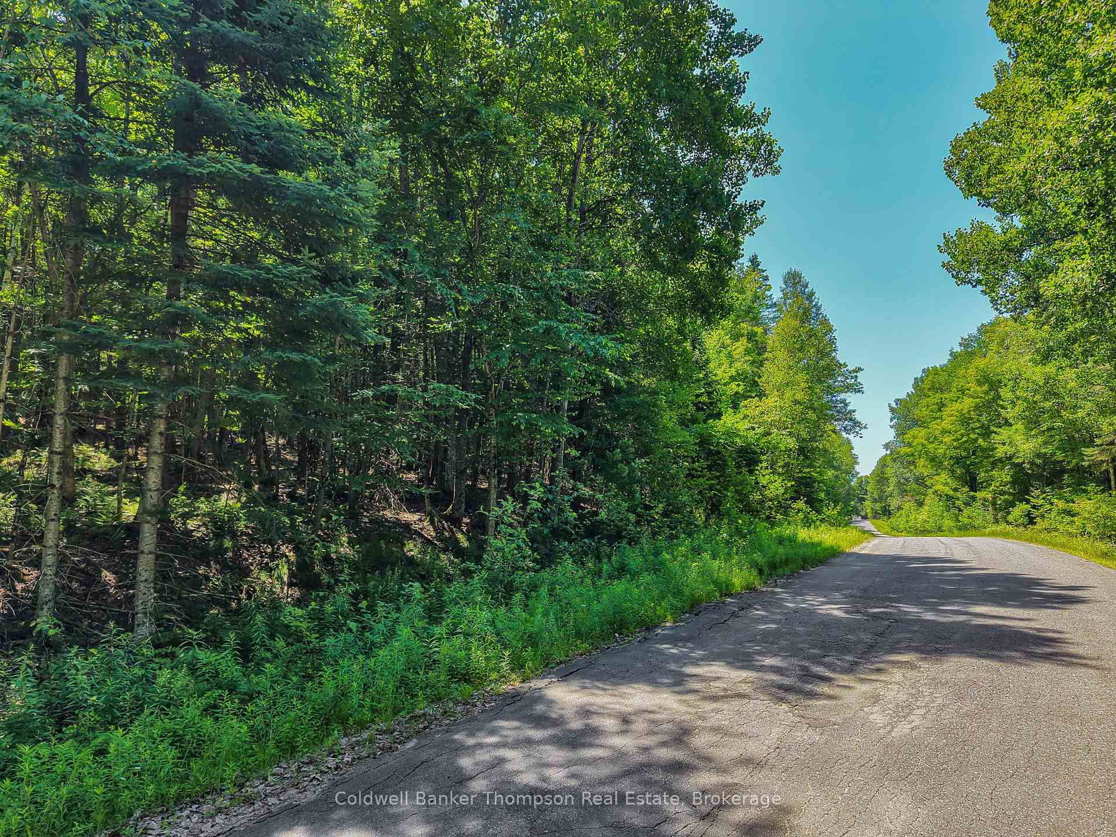 0 South Drive and Vernon Shores Boulevard • Huntsville, ON photo 5
