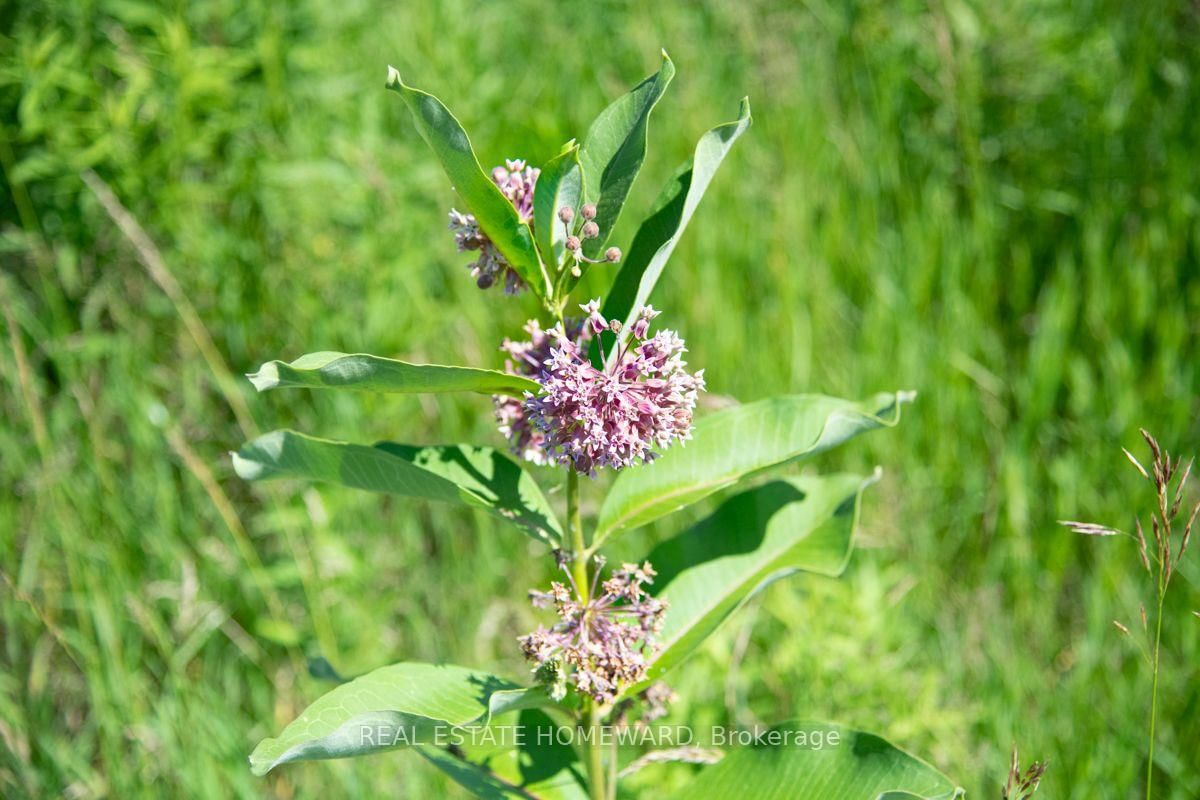 PT 1 Boyce Road • Alnwick/Haldimand, ON photo 10