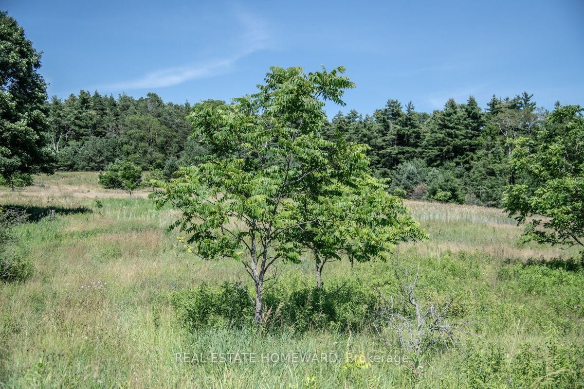 PT 1 Boyce Road • Alnwick/Haldimand, ON photo 13
