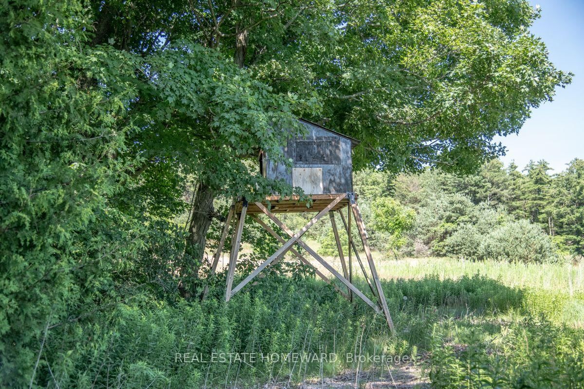PT 1 Boyce Road • Alnwick/Haldimand, ON photo 15