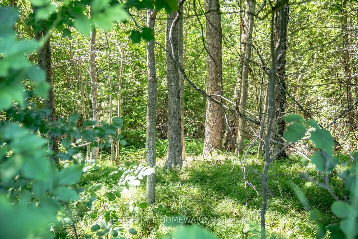 PT 1 Boyce Road • Alnwick/Haldimand, ON photo 16