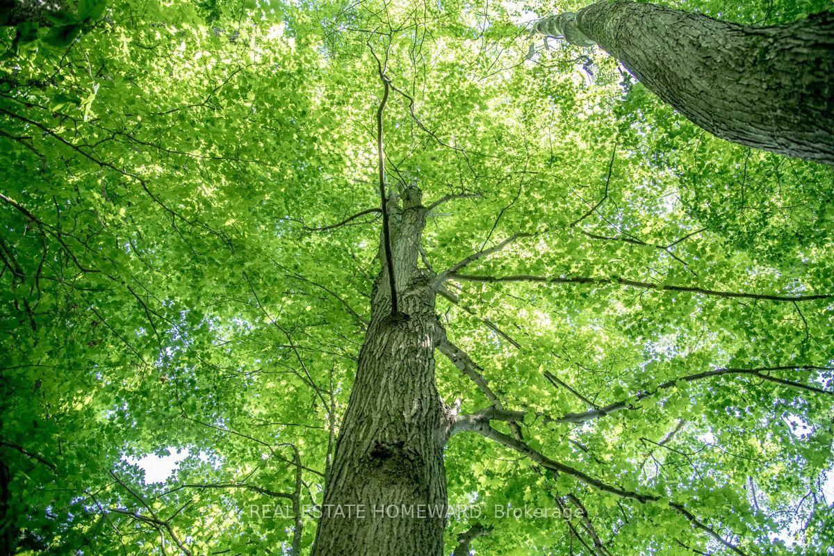 PT 1 Boyce Road • Alnwick/Haldimand, ON photo 18