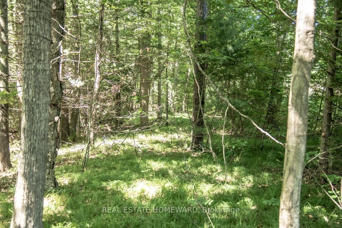 PT 1 Boyce Road • Alnwick/Haldimand, ON photo 19