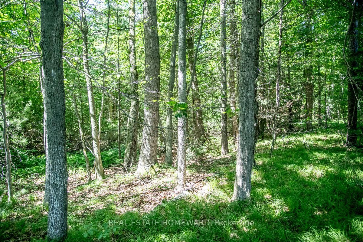 PT 1 Boyce Road • Alnwick/Haldimand, ON photo 20