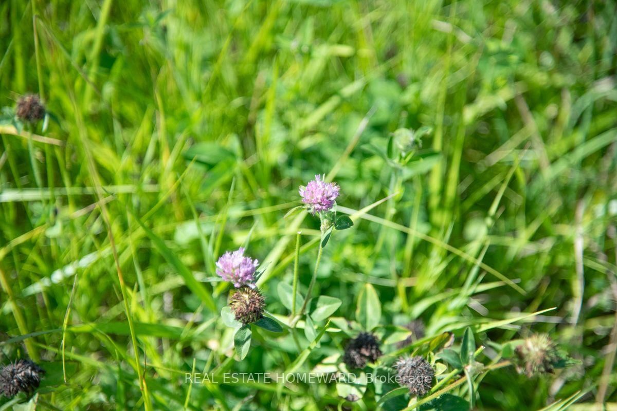 PT 1 Boyce Road • Alnwick/Haldimand, ON photo 24