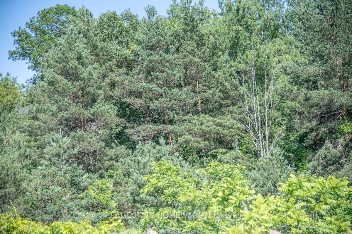 PT 1 Boyce Road • Alnwick/Haldimand, ON photo 29