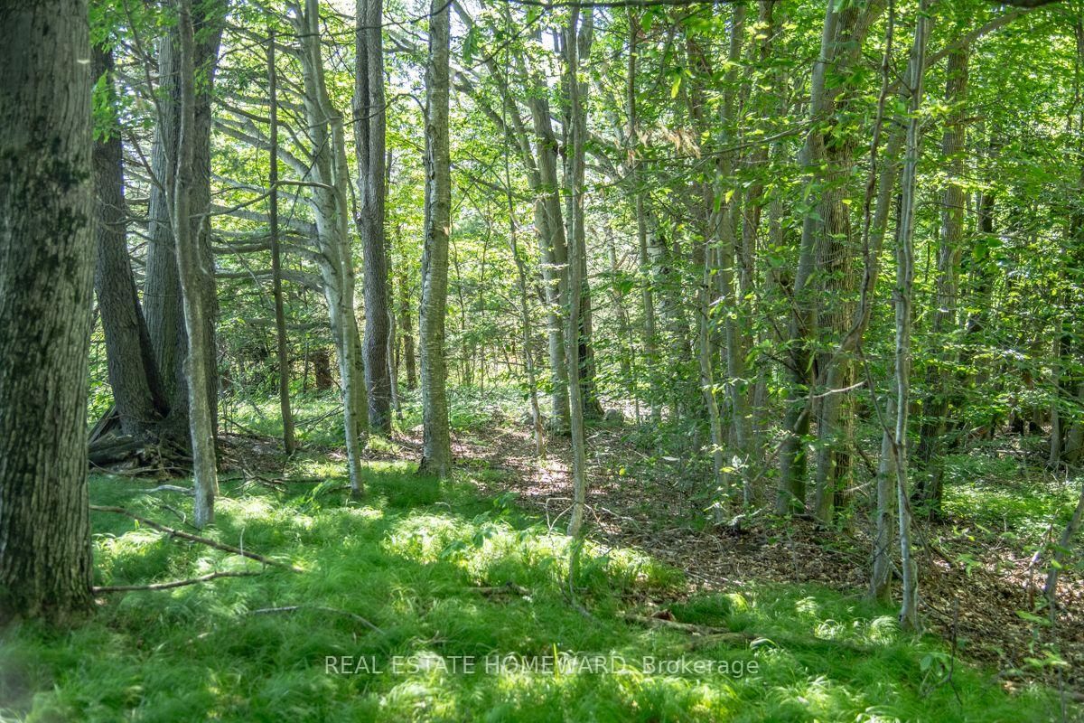 PT 1 Boyce Road • Alnwick/Haldimand, ON photo 31