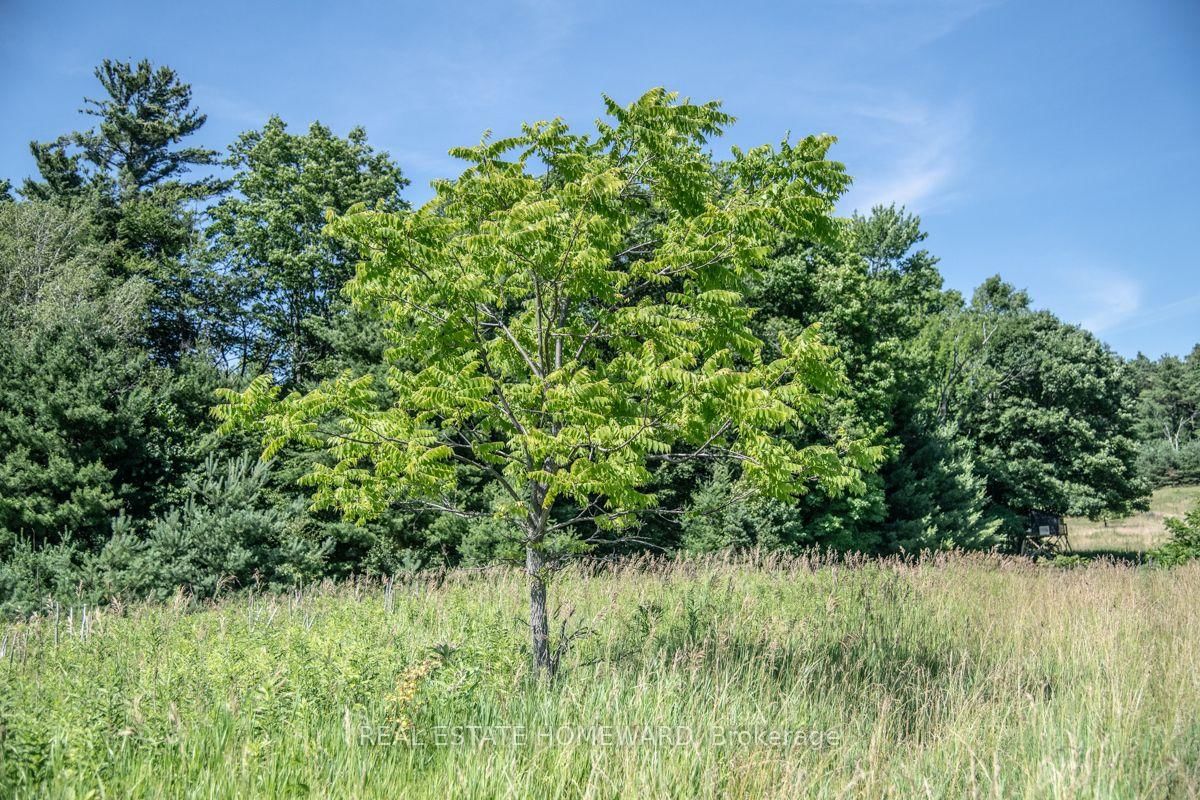 PT 1 Boyce Road • Alnwick/Haldimand, ON photo 6