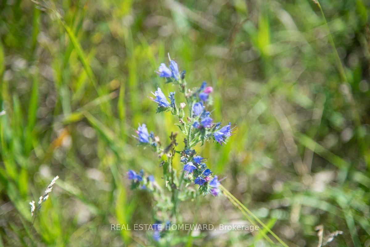 PT 1 Boyce Road • Alnwick/Haldimand, ON photo 8
