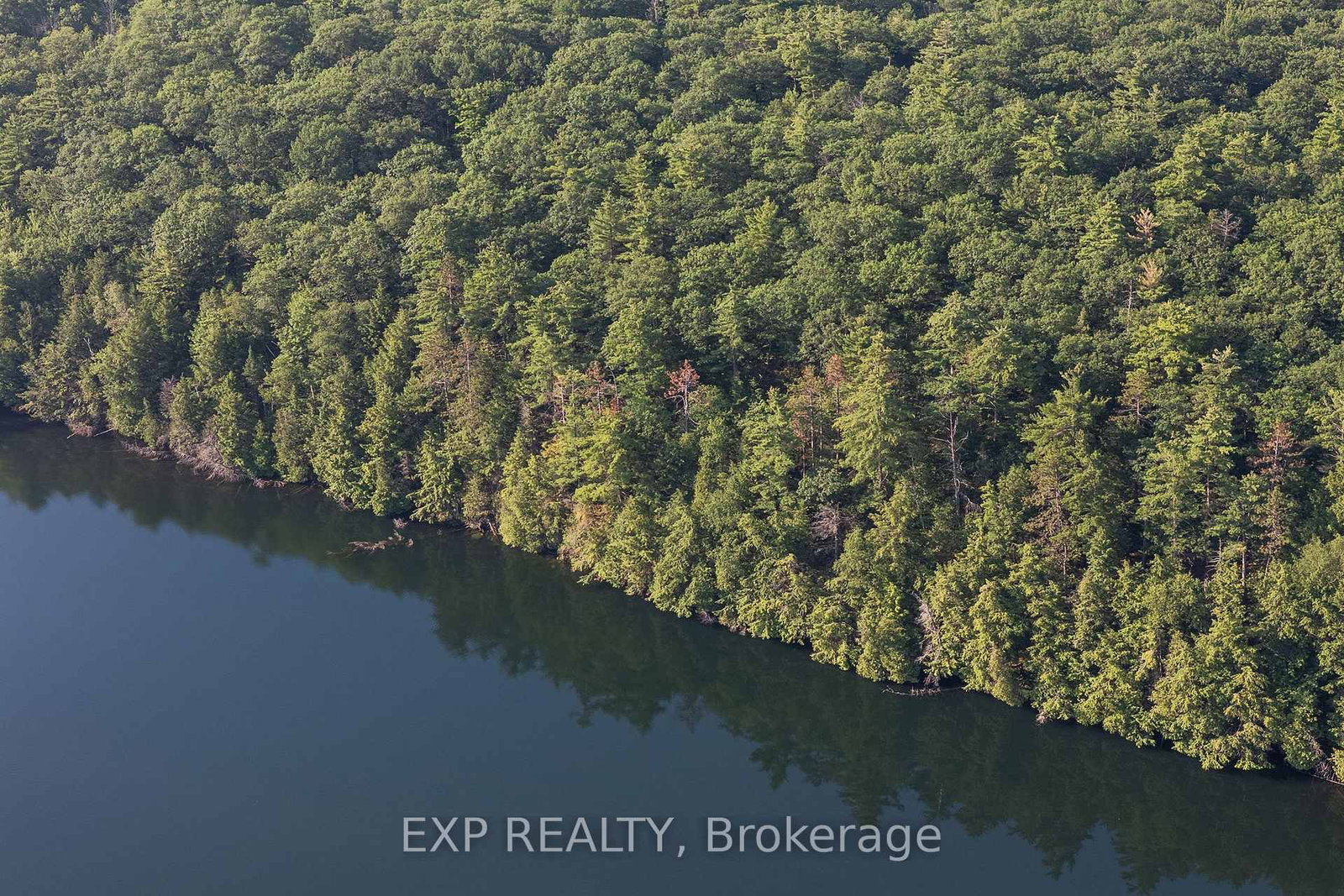 00 Bennett Lafont Road • Renfrew, ON photo 6