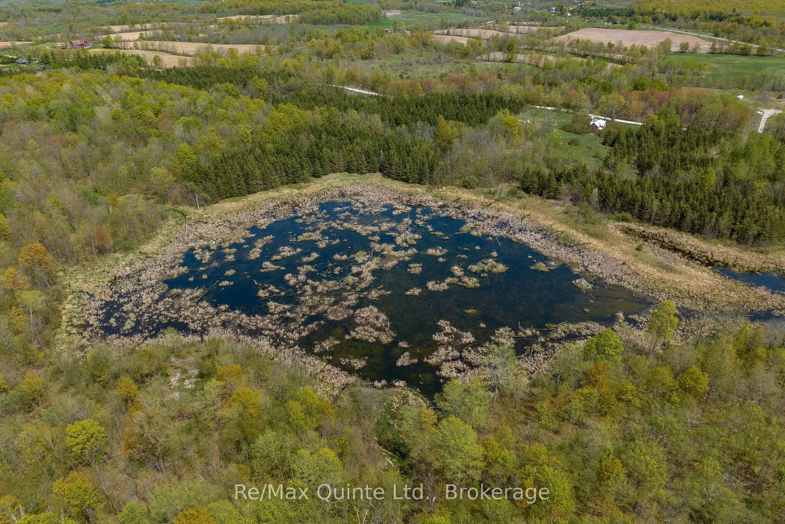 289 Woods Road • Madoc, ON photo 5