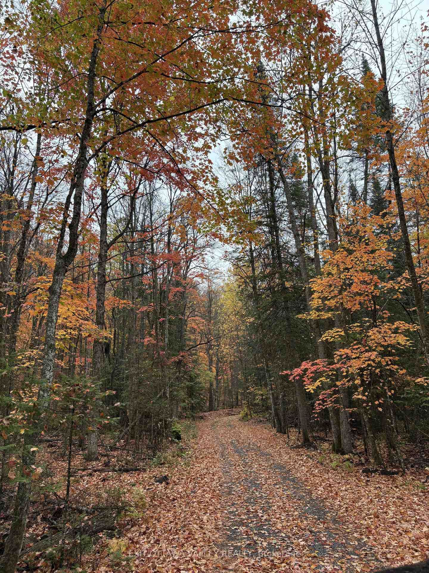 495 Gravel Pit Lane • Coe Hill, ON photo 38