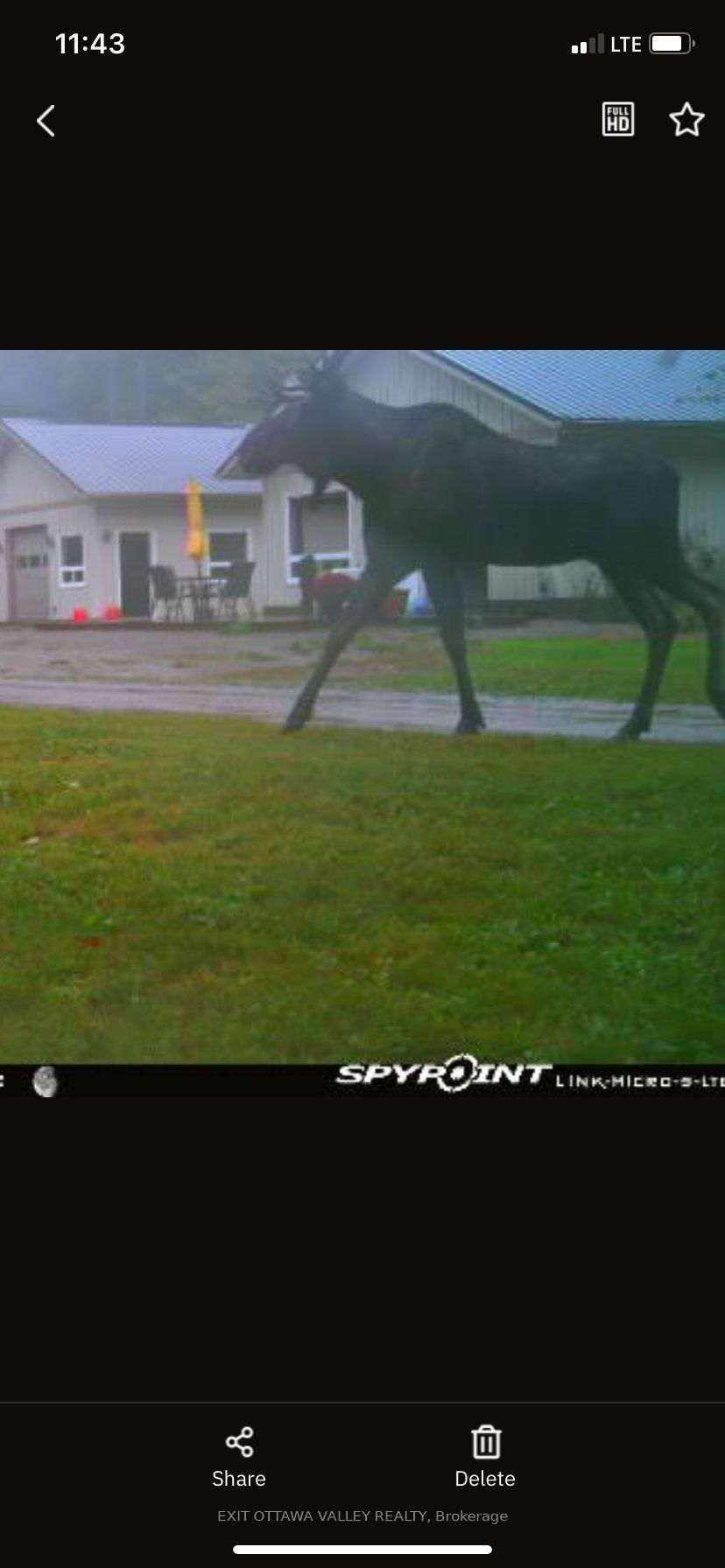 495 Gravel Pit Lane • Coe Hill, ON photo 39