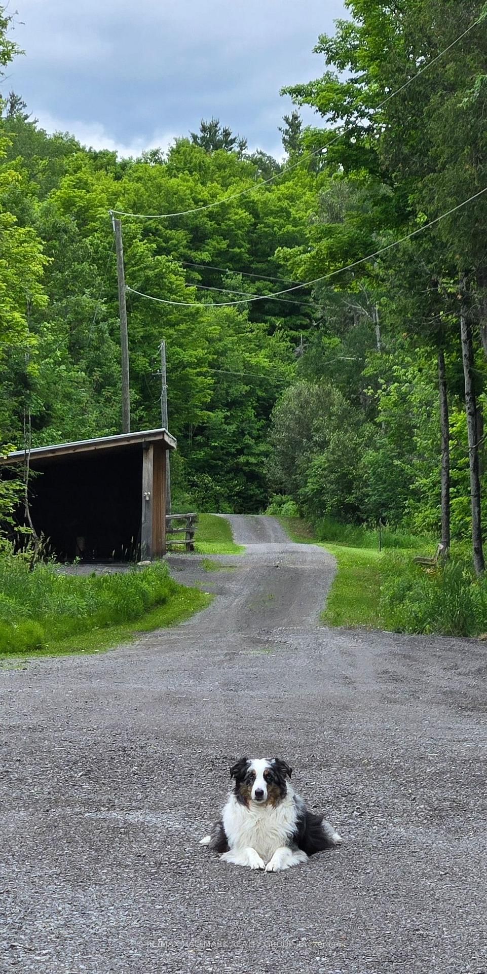466 W Stewartville Road • White Lake, ON photo 41