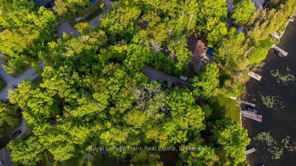 12 Woodland Trail • Trent Lakes, ON photo 45