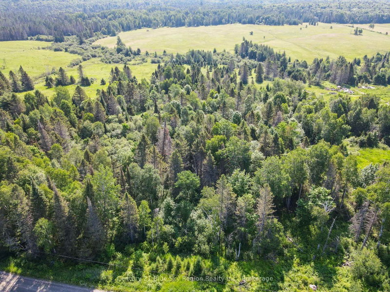 LOT 181 CON A Alsace Road