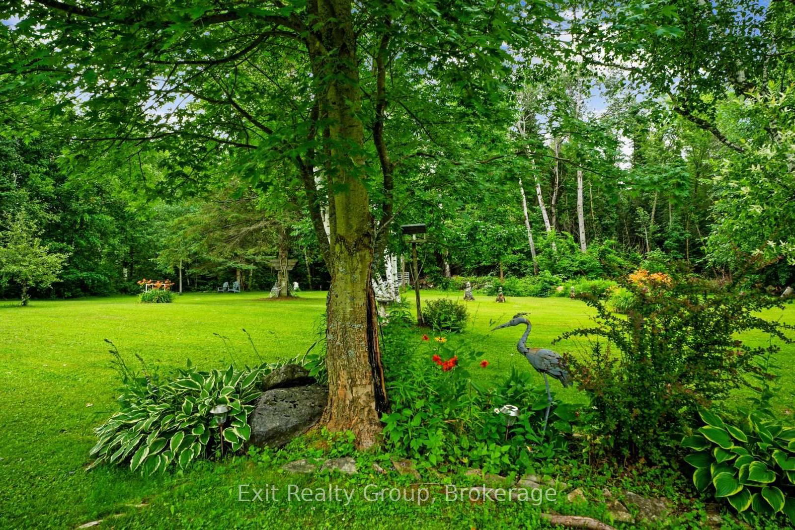 31 Birchwood Court • Trent Hills, ON photo 42