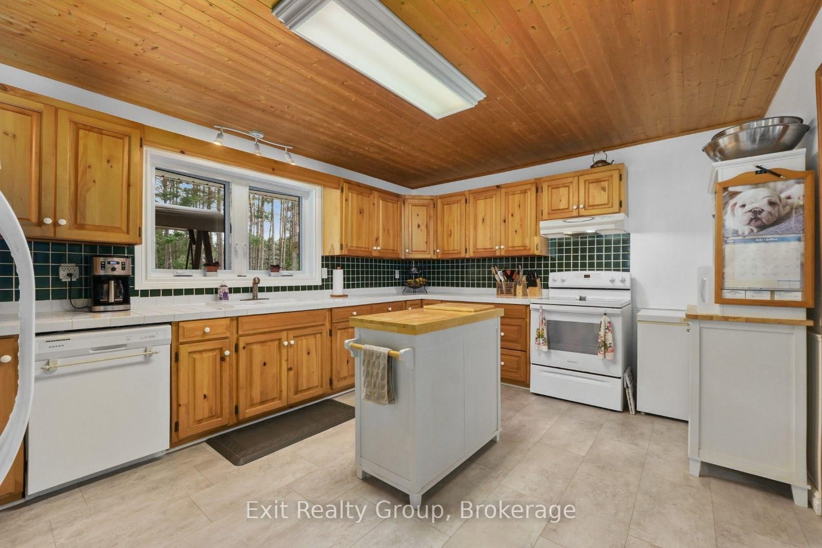 31 Birchwood Court • Trent Hills, ON photo 6
