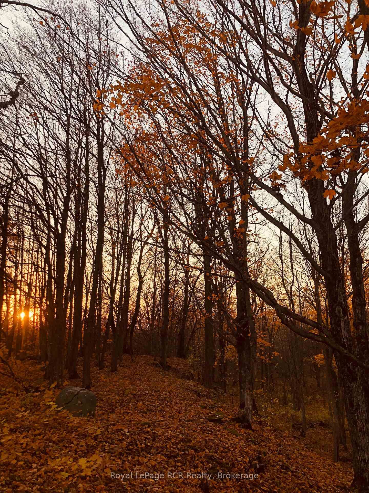 PtLt 39 Con 25 N E • Georgian Bluffs, ON photo 18