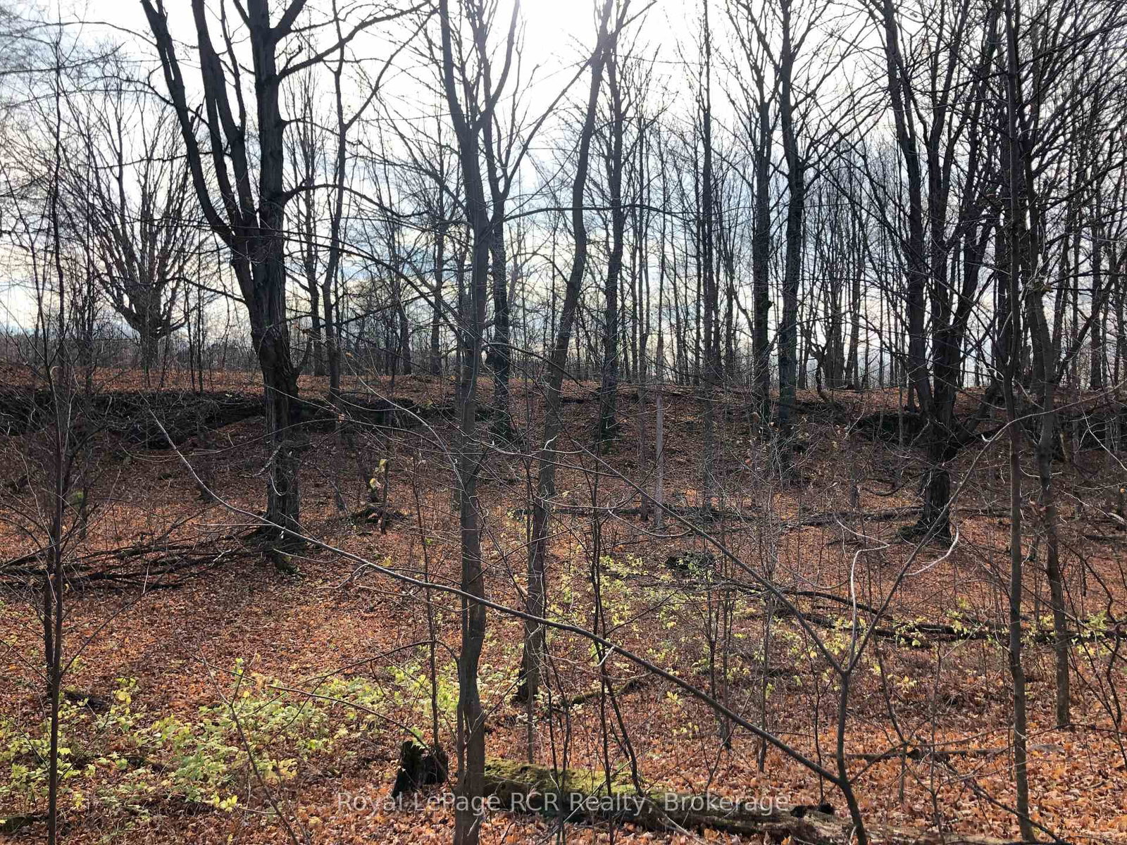 PtLt 39 Con 25 N E • Georgian Bluffs, ON photo 19