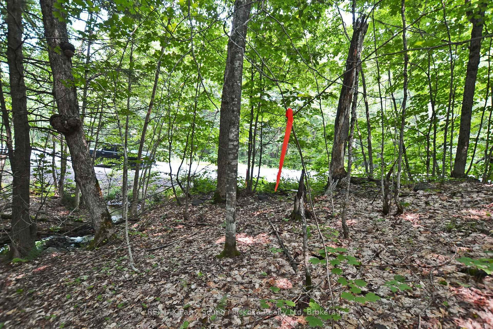 0 Lyndsey Lane • #Part 1 • McKellar, ON photo 21