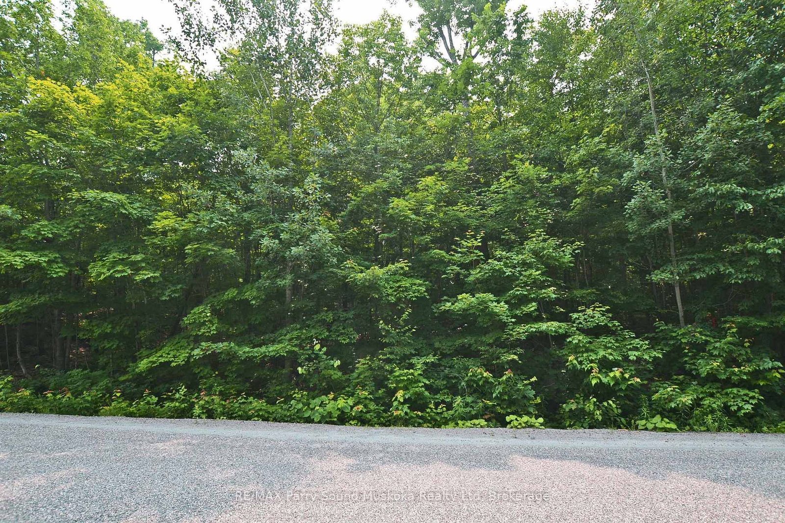 0 Lyndsey Lane • #Part 1 • McKellar, ON photo 9