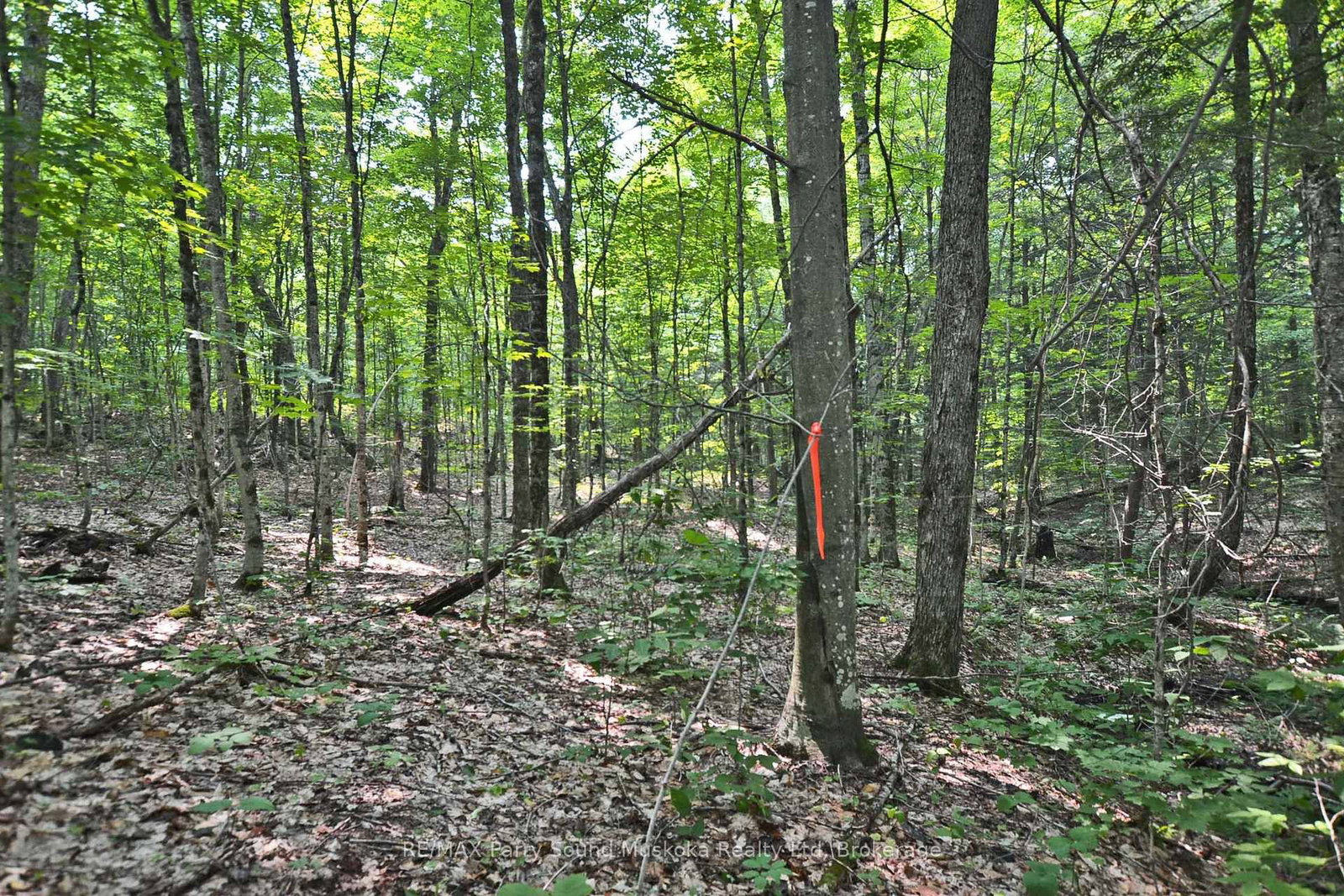 0 Lyndsey Lane • #Part 2 • McKellar, ON photo 11