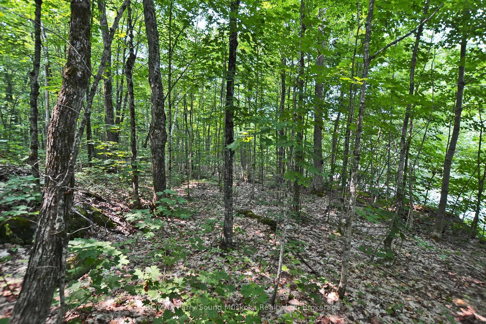 0 Lyndsey Lane • #Part 2 • McKellar, ON photo 14
