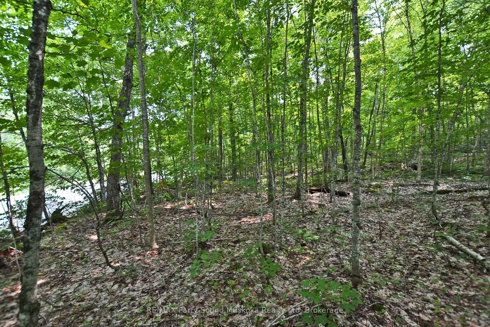 0 Lyndsey Lane • #Part 2 • McKellar, ON photo 15