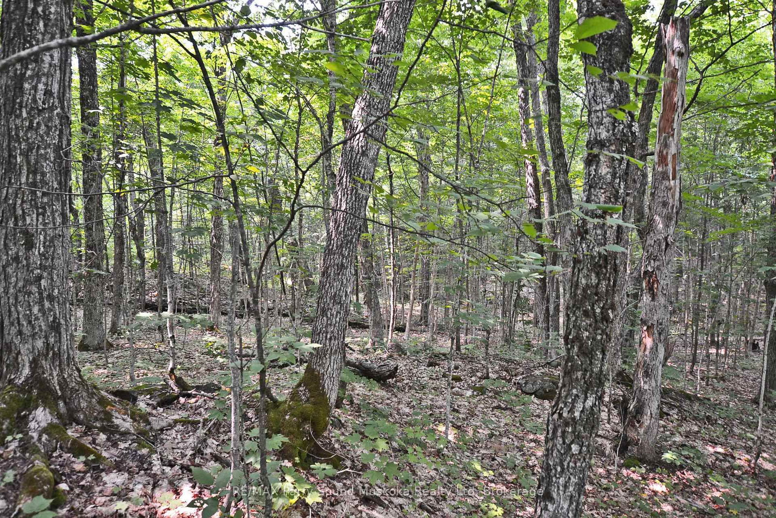 0 Lyndsey Lane • #Part 2 • McKellar, ON photo 17