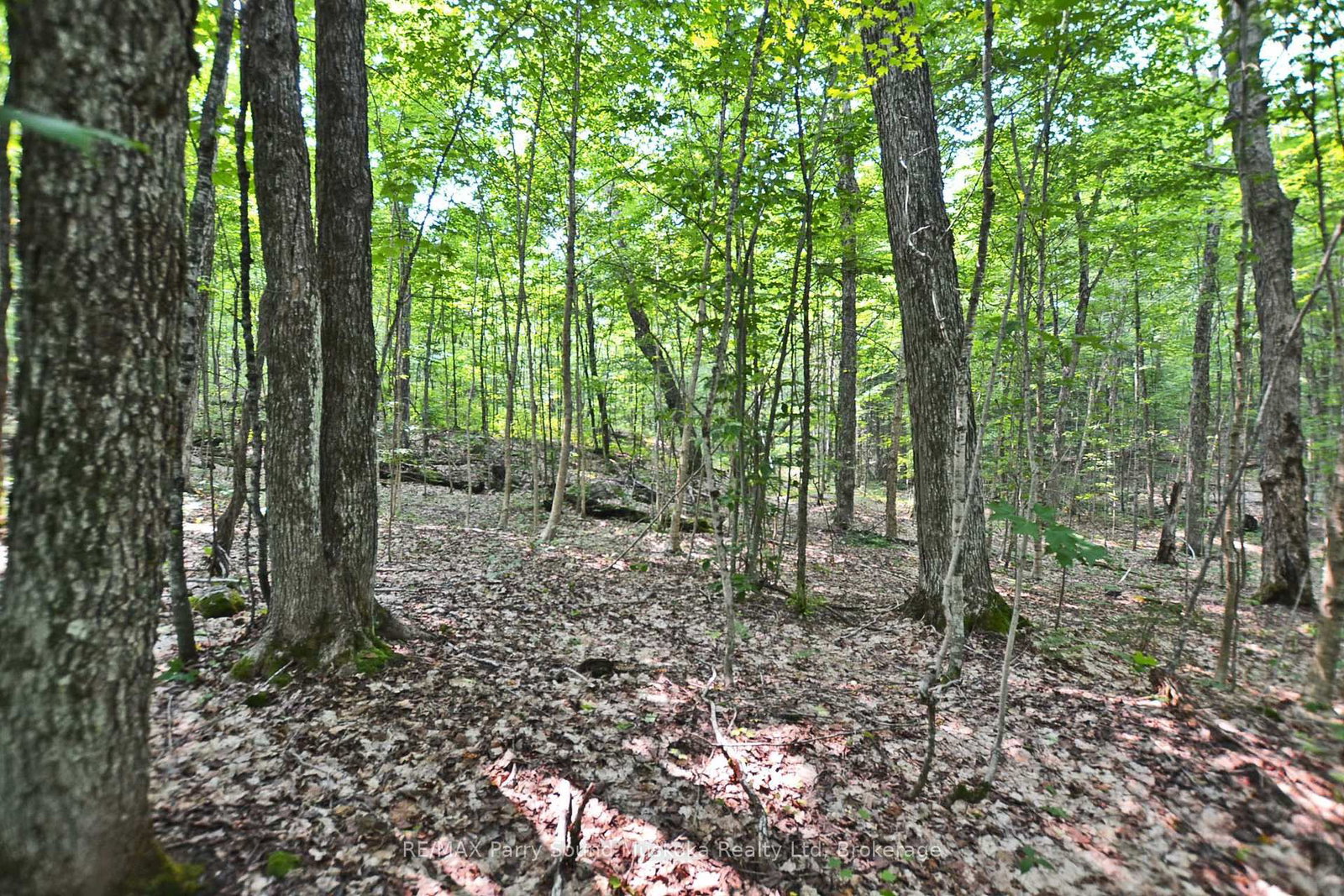 0 Lyndsey Lane • #Part 2 • McKellar, ON photo 18