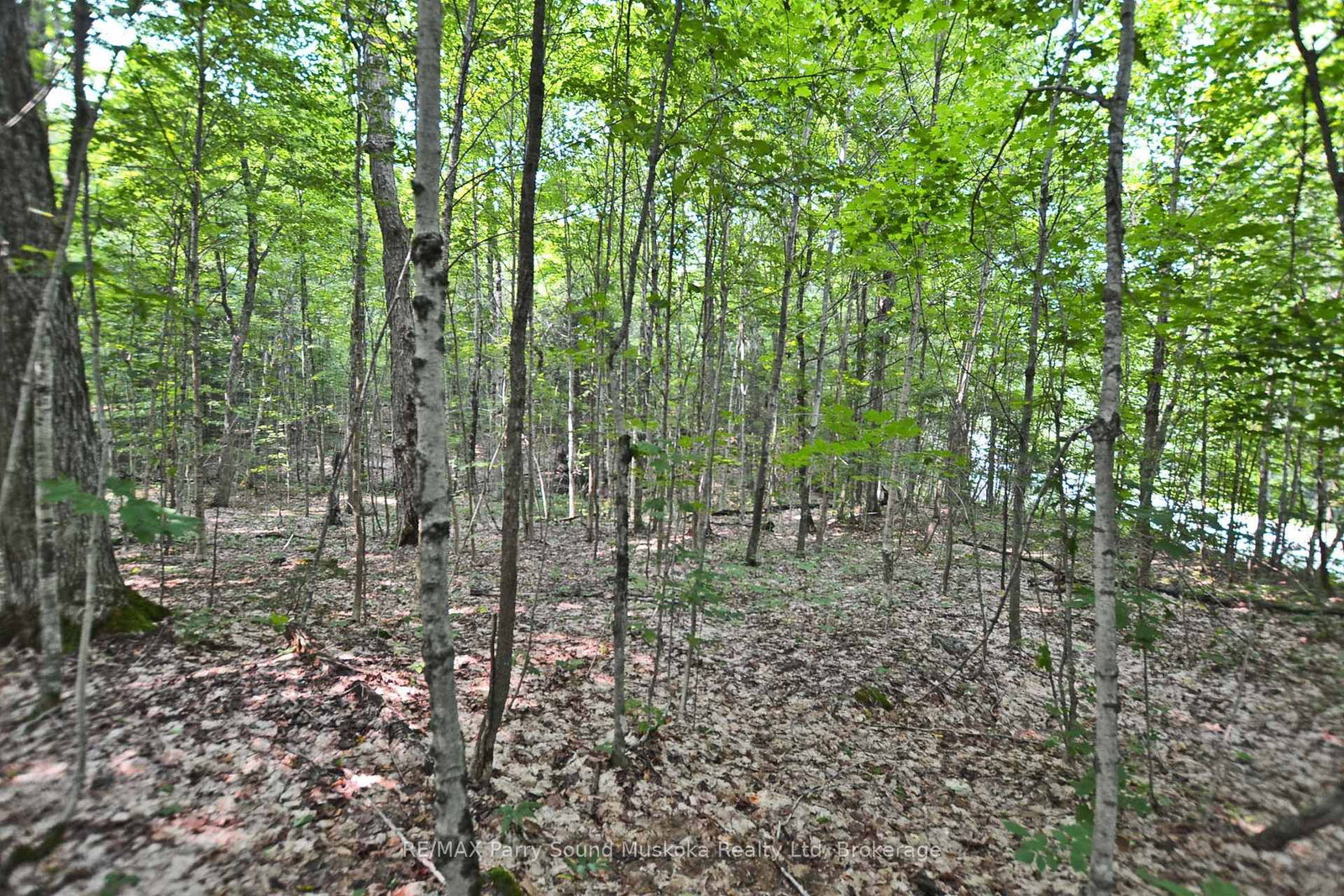 0 Lyndsey Lane • #Part 2 • McKellar, ON photo 19