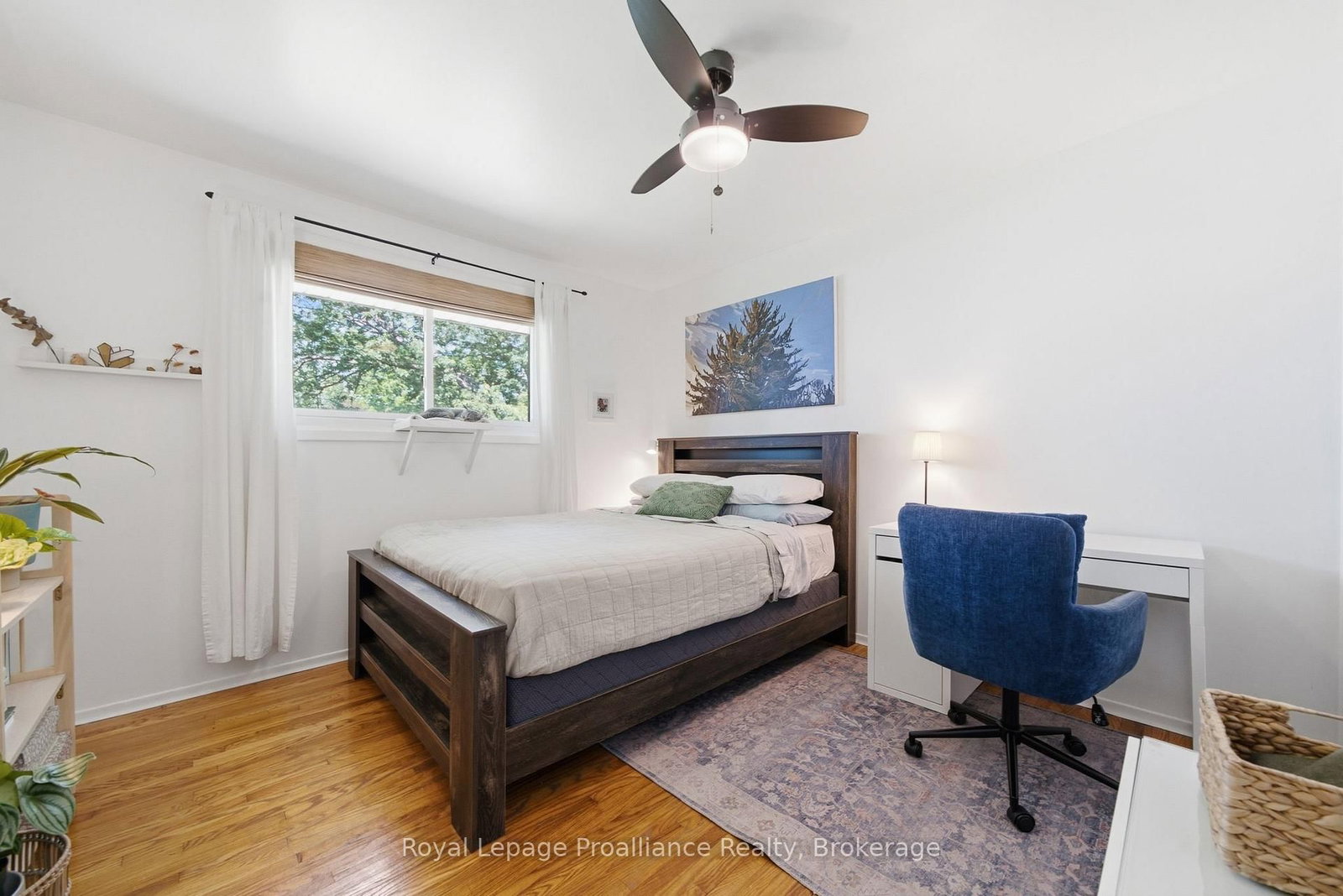 41 WALTER Avenue • Quinte West, ON photo 23