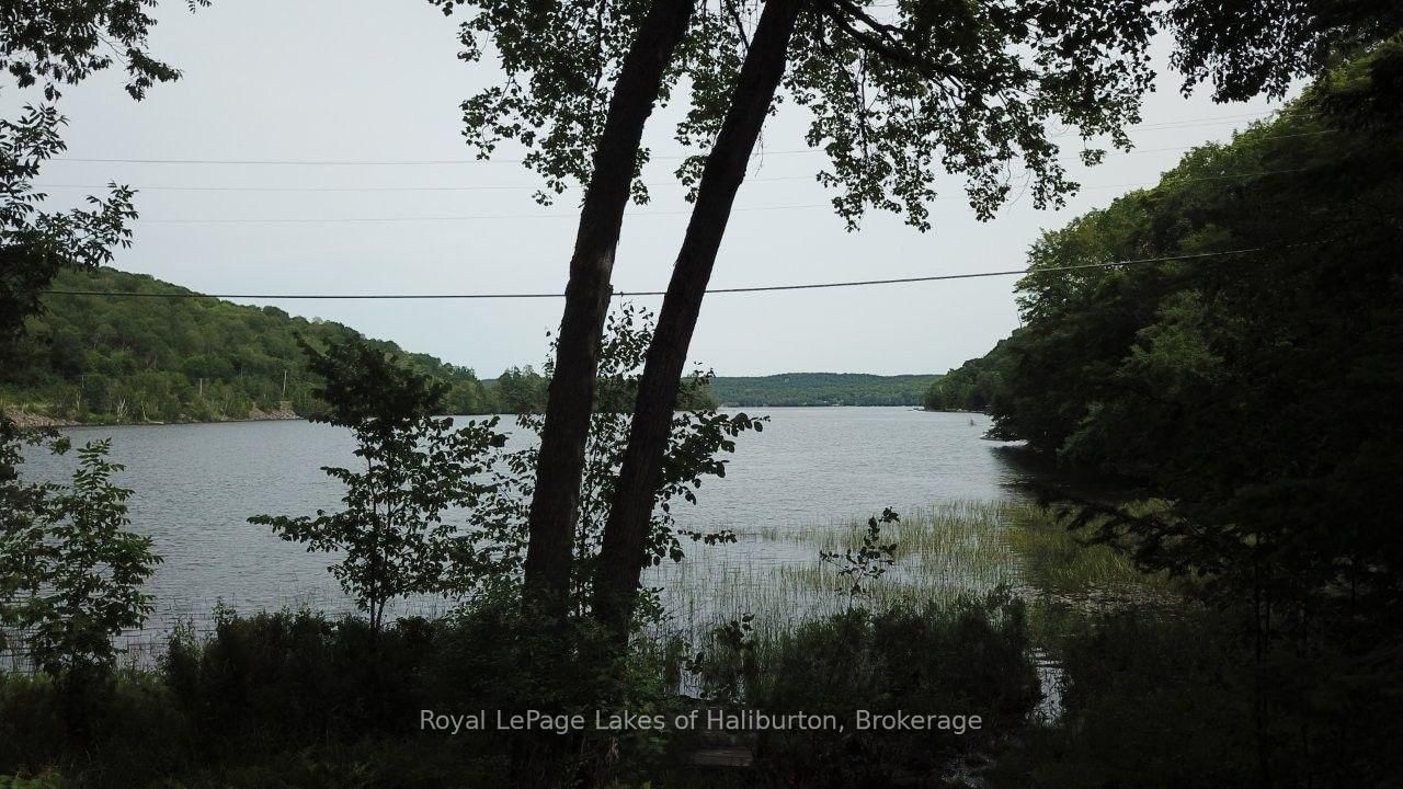 3040 Haliburton Lake Road • Dysart et al, ON photo 32