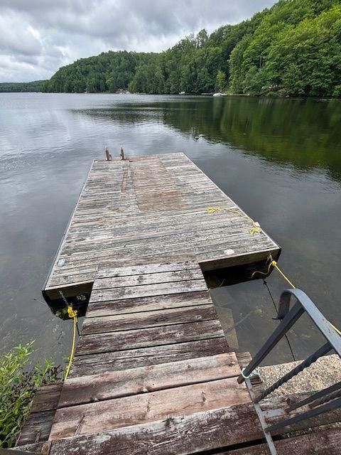 3040 Haliburton Lake Road • Dysart et al, ON photo 48