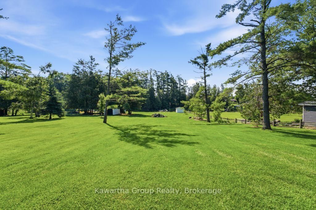 65 Grandy Road • Kawartha Lakes, ON photo 45