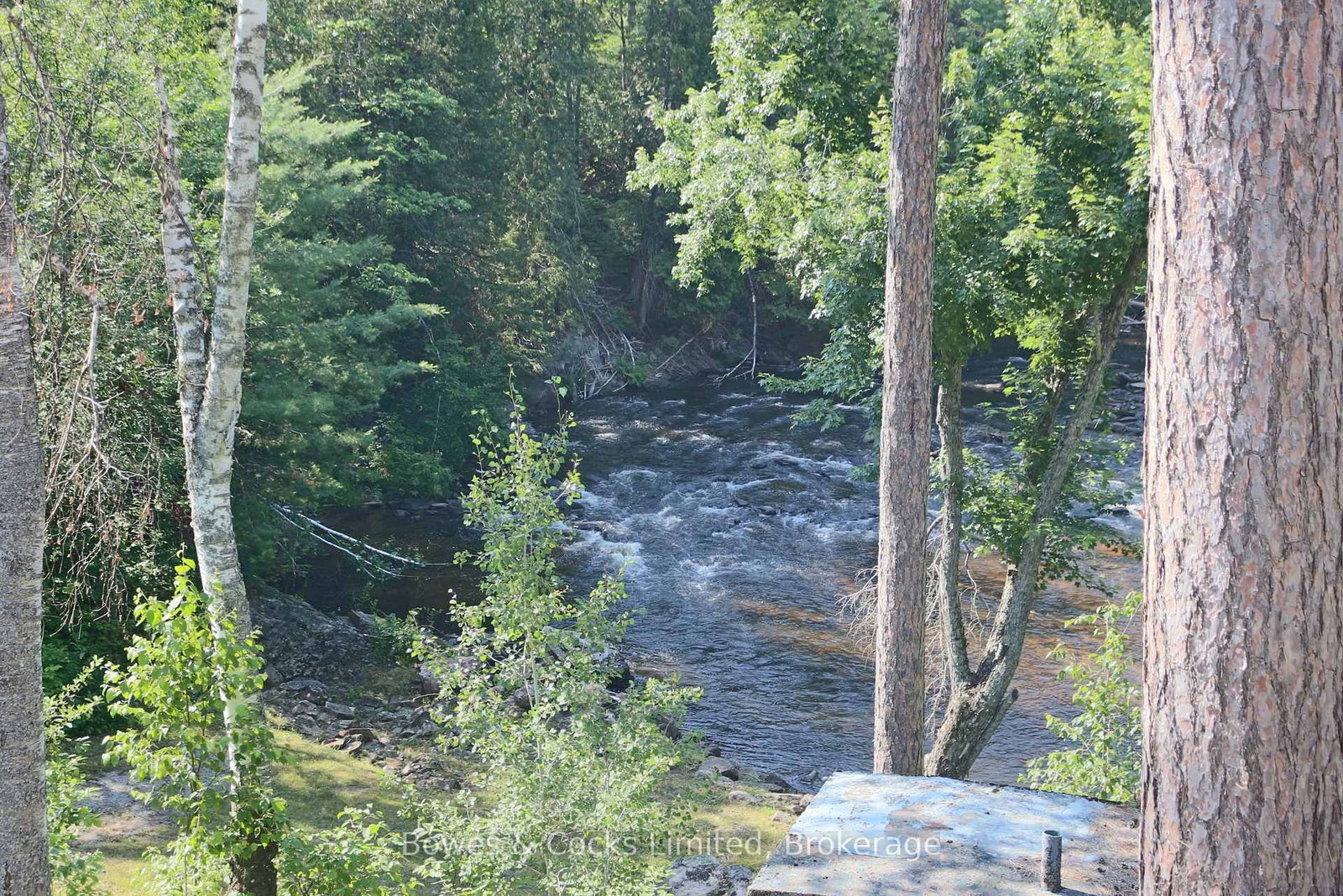7953 Highway 28 • North Kawartha, ON photo 15