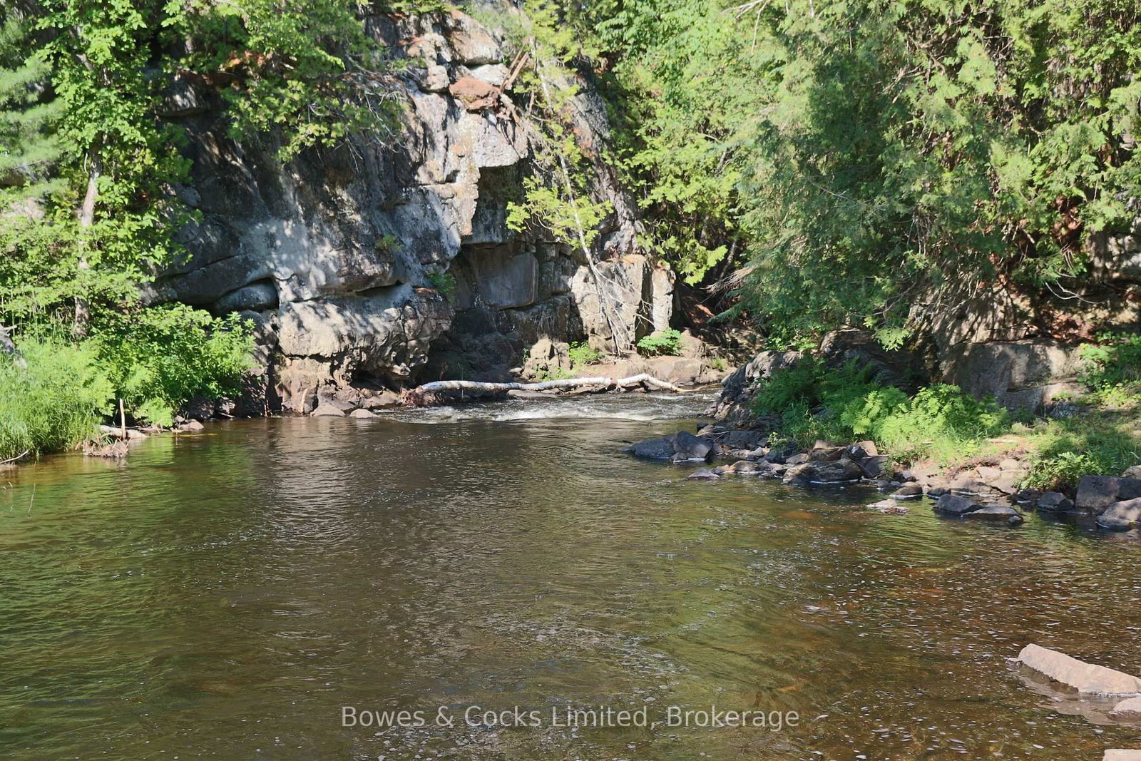7953 Highway 28 • North Kawartha, ON photo 19