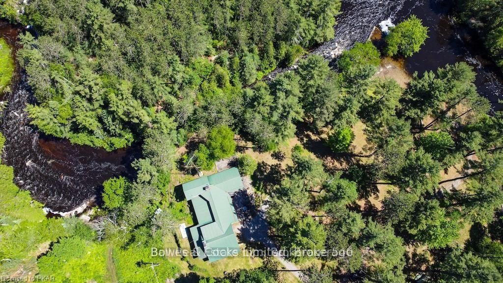 7953 Highway 28 • North Kawartha, ON photo 48