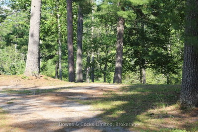 7953 Highway 28 • North Kawartha, ON photo 8