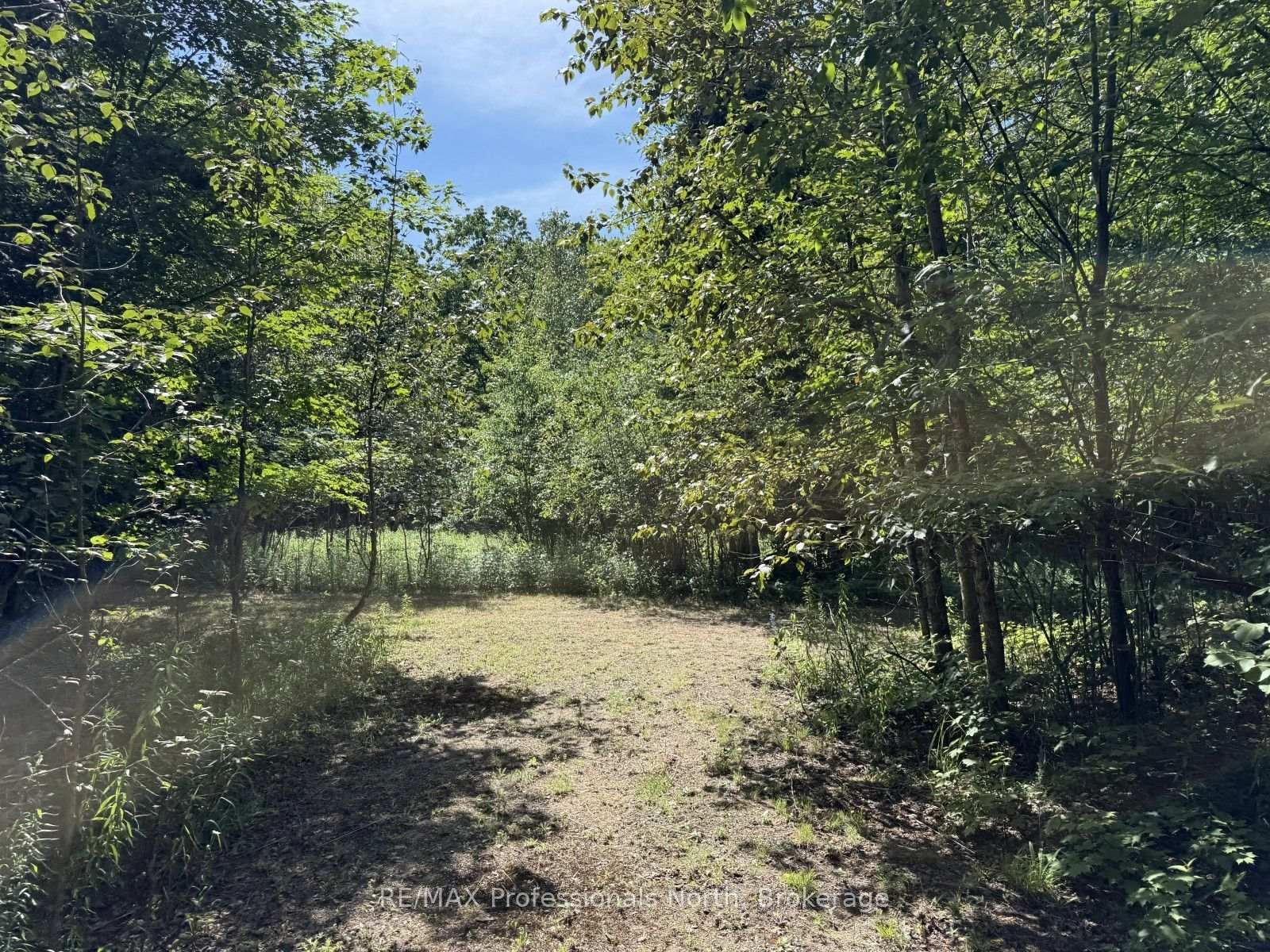 1170 Bushwolf Lake Road • Dysart et al, ON photo 21