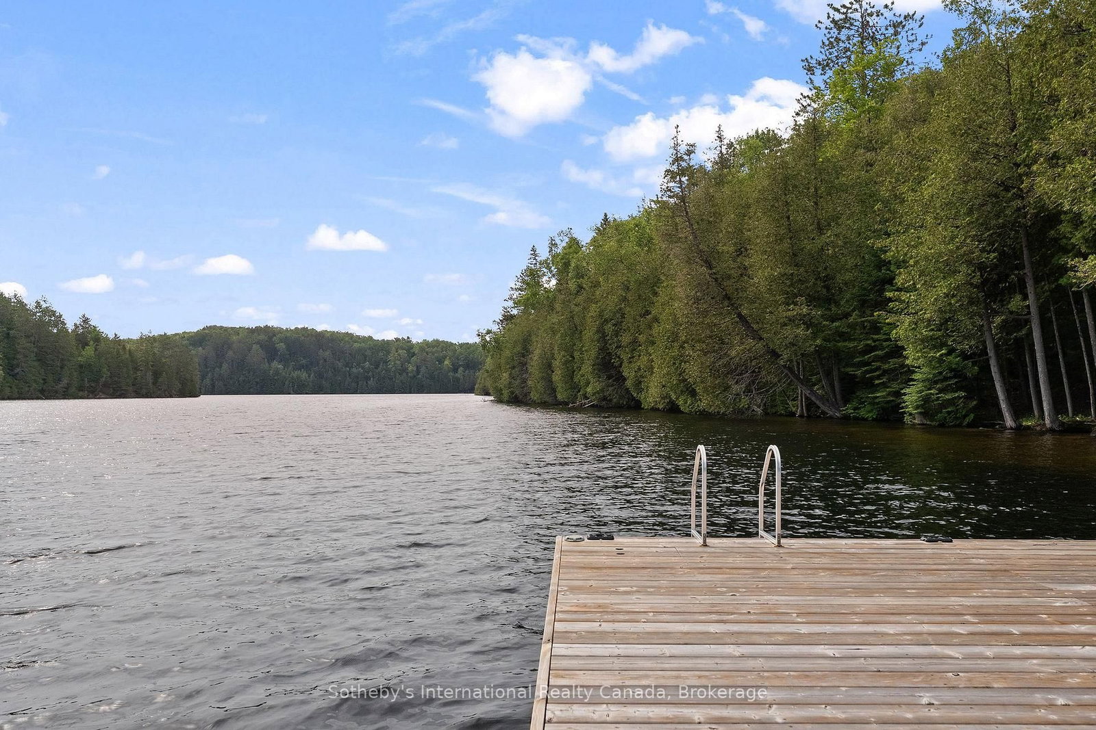 1014 Salmon Lake Road • Trent Lakes, ON photo 38