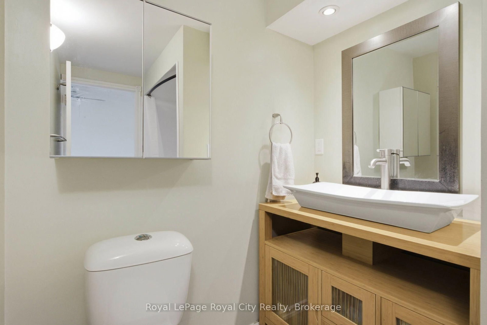 116 Emma Street • Guelph, ON photo 35