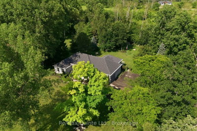 35 Penny Lane — photo 6