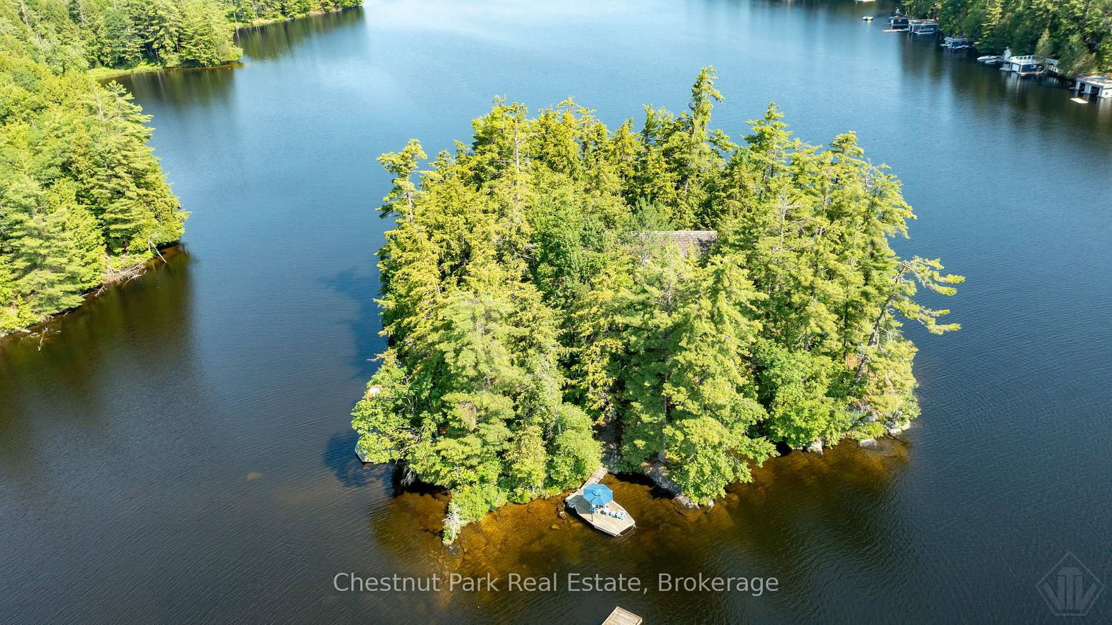 1 Merlin (Island M91) Island • Muskoka Lakes, ON photo 1
